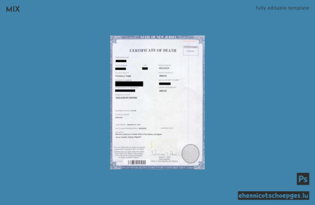 Vorschau eines Beispiels einer Sterbeurkunde des US-amerikanischen Amtes für Bevölkerungsstatistik und -register